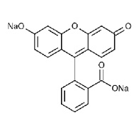 Fluorescéine Sodique, Uranine 